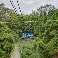 Thrilling Adventures at Scenic World Blue Mountains