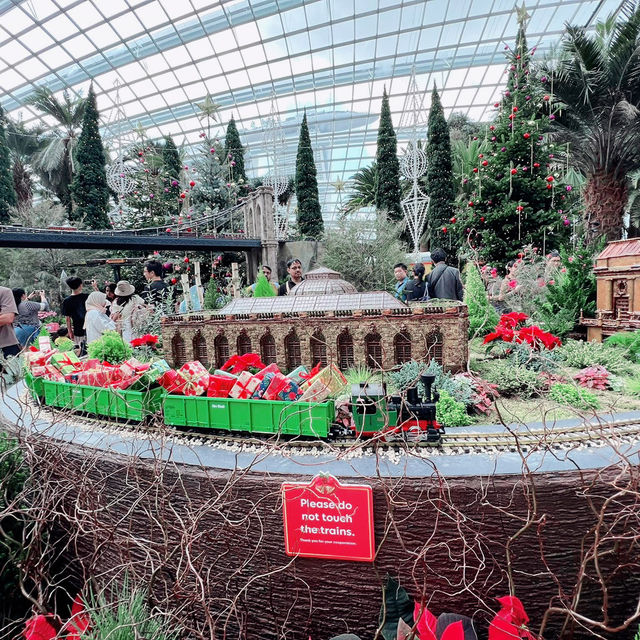 Christmas Train Show at Flower Dome ❄️🎄🎁