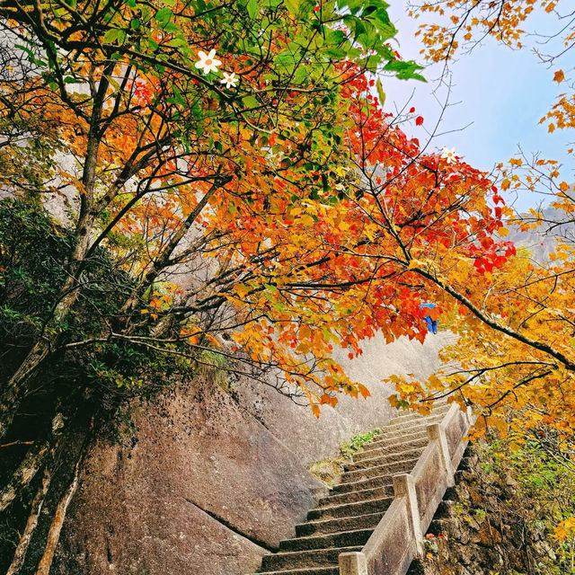 鷹峯山：雲霧秋日🏞️