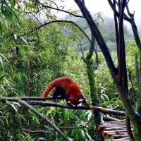 Panda Valley @ Dujiangyan