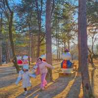 Chilly Adventure on Nami Island