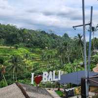 Bali Rice Terraces