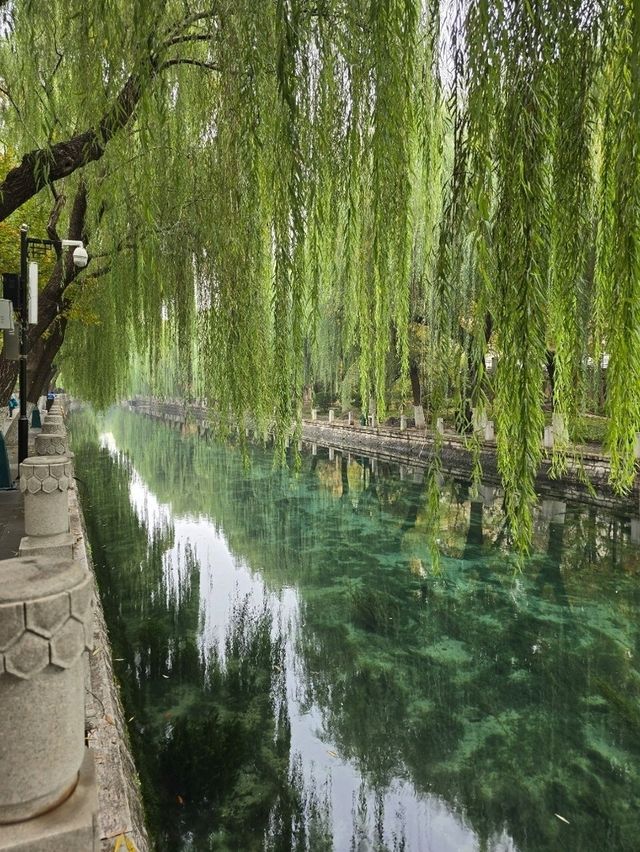 Jinan, the City if Springs ✨️🩵