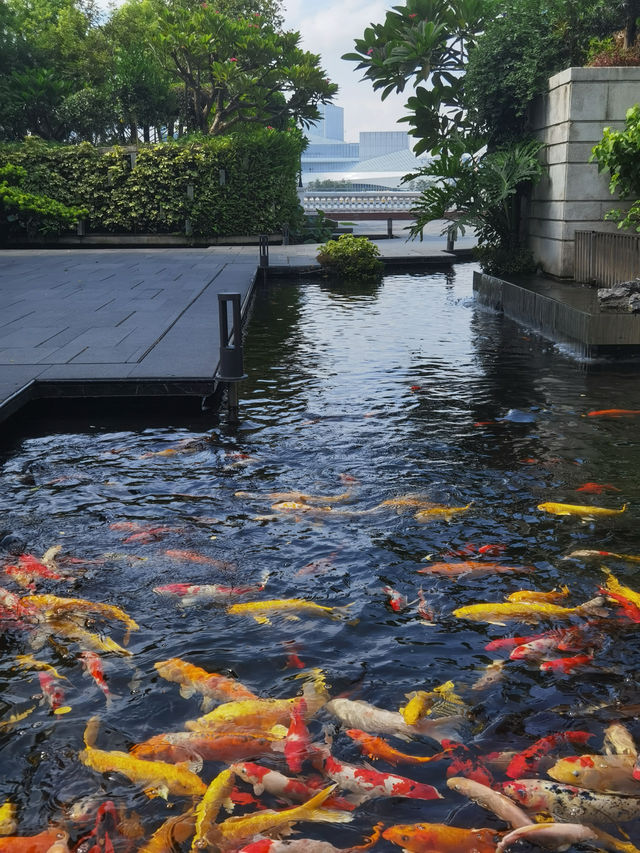 廣州必住｜酒店控都會秘密收藏的人生酒店-白天鵝賓館。