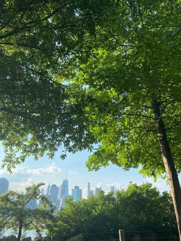 Explore Brooklyn Bridge Park in New York