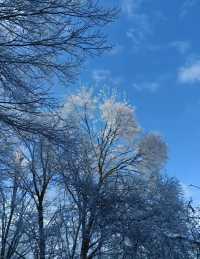 冬日的一場大雪，將終南山南五台裝扮得如同仙境。