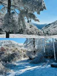 龍王山徒步賞雪：一場冰雪中的夢幻之旅。