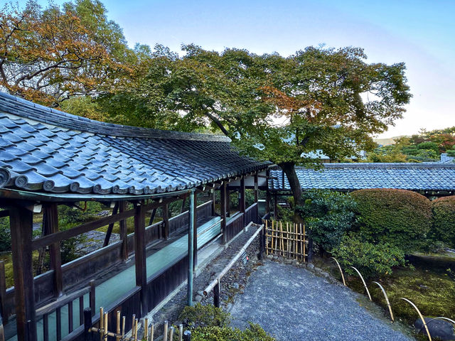 醍醐離宮，臨濟禪寺。