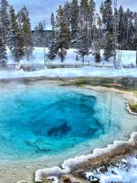 Winter Wonderland in Yellowstone National Park: A 5-Day Detailed Guide!