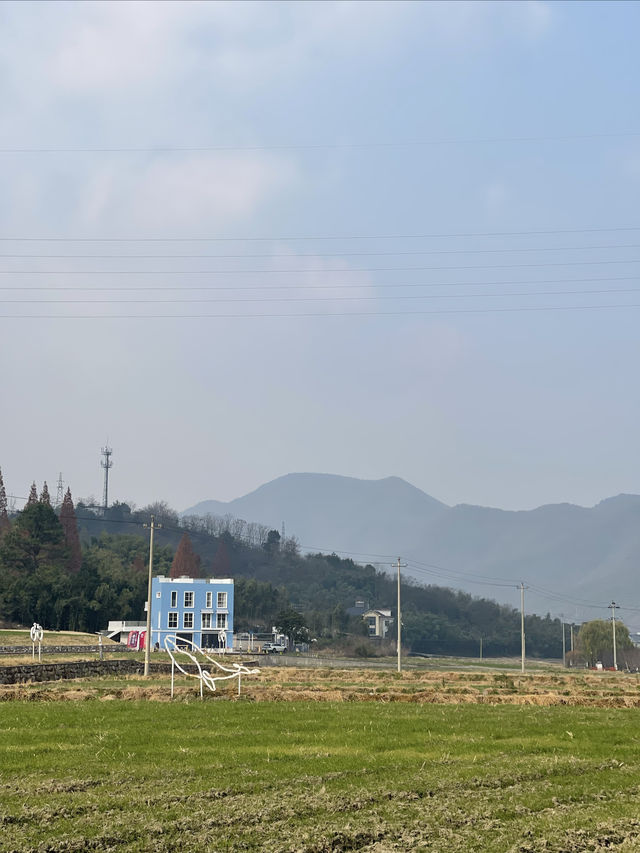 鄉村路上的風景線|銀坑村