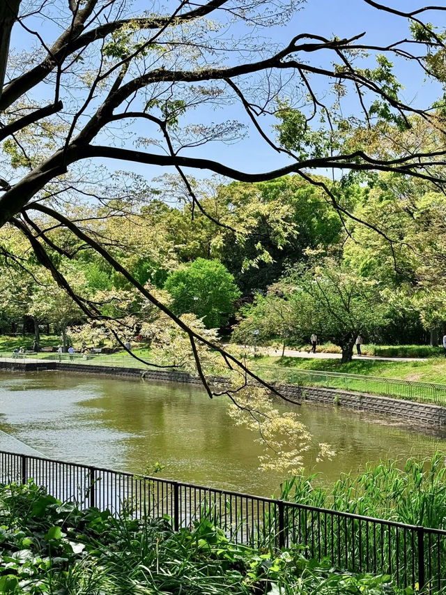 綠意盎然：大阪市立長居植物園的悠閒兩日