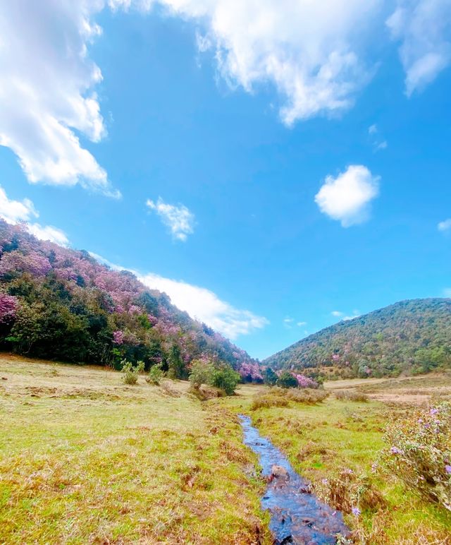 五一周末瀋陽周邊爬山踏青好去處