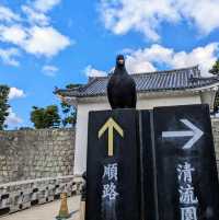 日本京都-世界文化遺產：二條城