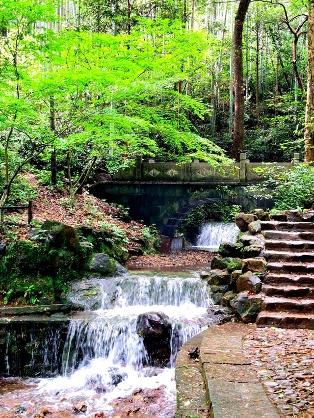 Bamboo Trail in Hangzhou