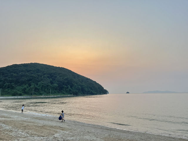 드라이브하기 좋은 안산 구봉솔숲해수욕장 🌊 | 안산 여행 추천