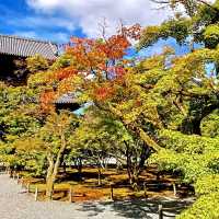 【京都】2024年秋厳選！京都紅葉スポット 南禅寺