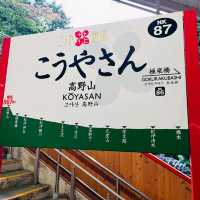 Visit Koyansan World Heritage with Nankai All Line 2 Day Pass