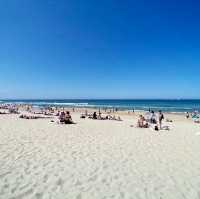 Surf day at the beach!