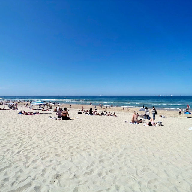 Surf day at the beach!