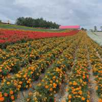 Japan’s Northern Jewel- Hokkaido 