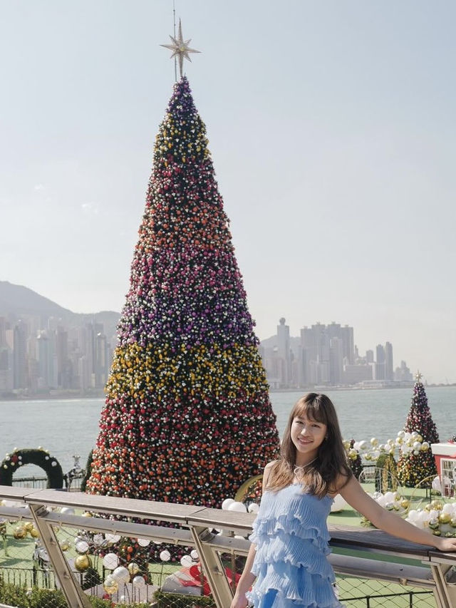 香港🇭🇰西九20米巨型聖誕樹🎄