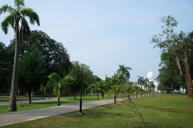 維哈馬哈德維公園