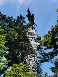 世界遺產 小眾秘境——日本霧久島