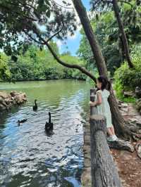 天氣正好，遛娃好去處——上海動物園。