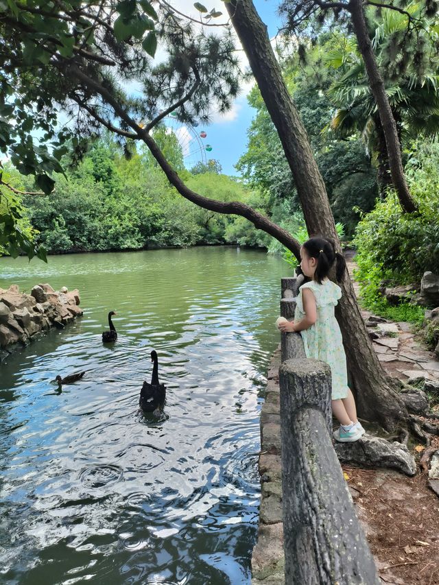 天氣正好，遛娃好去處——上海動物園。