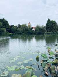 江蘇·太倉思鈿月季公園/月季夫人蔣恩細紀念館。