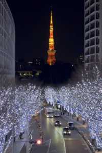 Experience the Magic of Tokyo's Christmas Lights Next Month