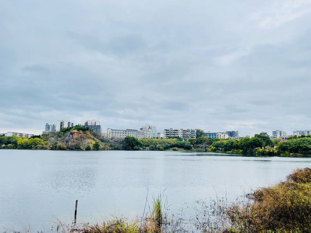 花都湖 | 城市綠洲，免費遊！