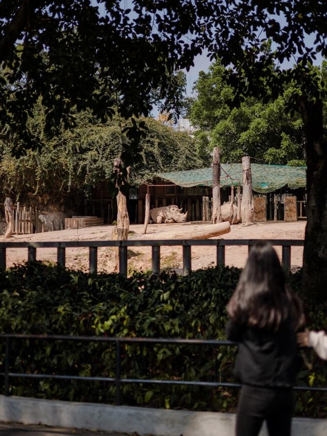 【廣州長隆】野生動物園兩日遊，與小動物親密接觸