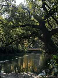 我宣布！這就是上海最寧靜的公園