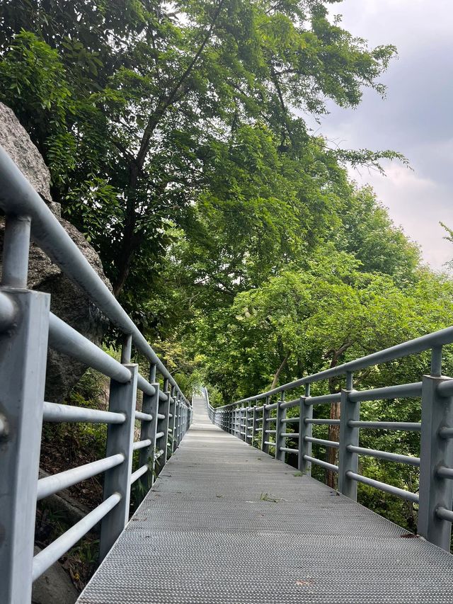 5日暢遊山東青島-威海-煙台 揭秘理想玩法速覽