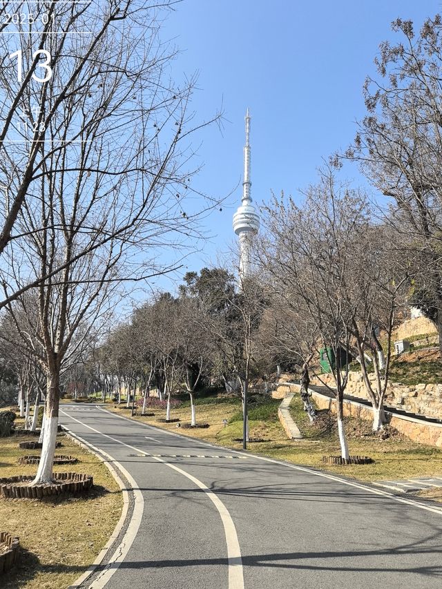 龜山公園：值得遊覽