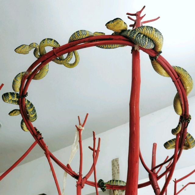 Amazing Snake Temple in Penang