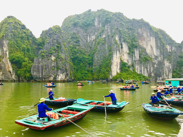 A perfect destination for nature lovers and adventure seekers alike 🇻🇳