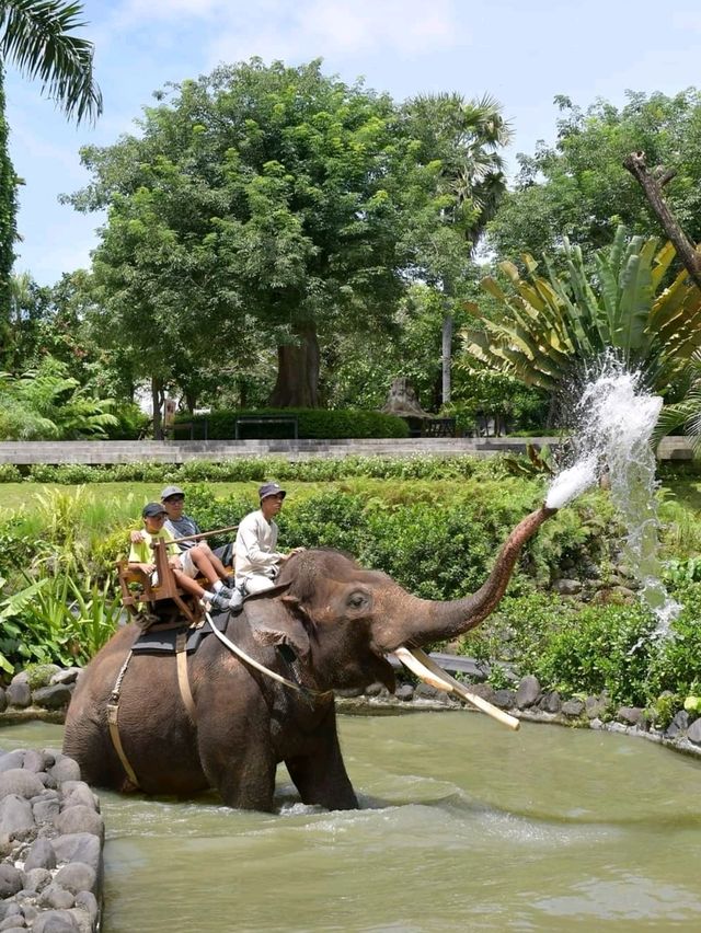 🇮🇩 Elephant Expedition in Bali, Indonesia