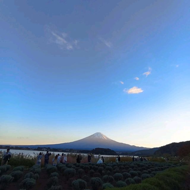 Hidden Gems Around Mount Fuji: A Journey of Discovery