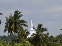 Isurumuniya Temple: a beautiful discovery 🇱🇰