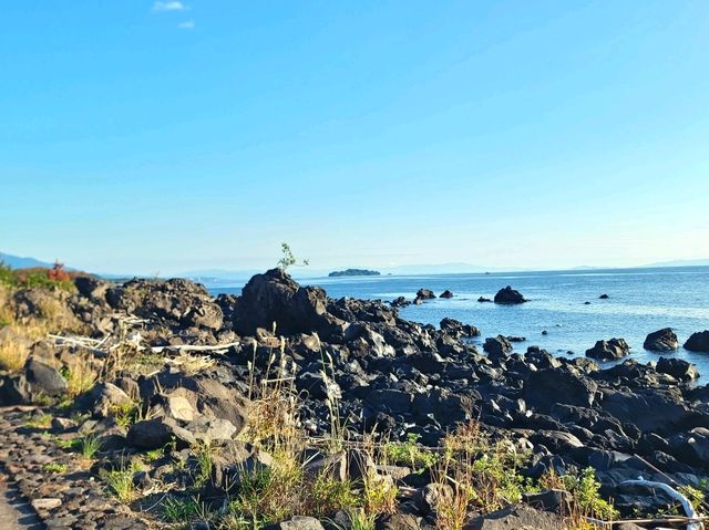 鹿兒島-櫻島火山一日遊