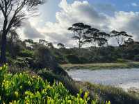 Bay of Fires: Tasmania’s Coastal Wonderland