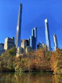 Central Park: The Green Heart of New York City