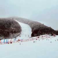 Alpensia Ski Resort: A Winter Wonderland in Pyeongchang