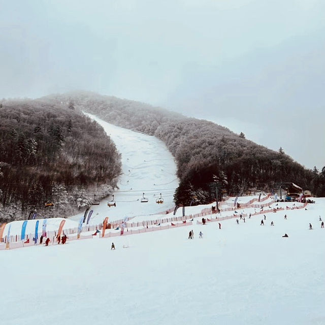 Alpensia Ski Resort: A Winter Wonderland in Pyeongchang