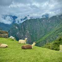 Unforgettable Machu Picchu, can’t miss it