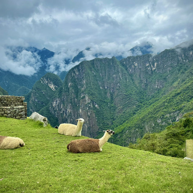 Unforgettable Machu Picchu, can’t miss it