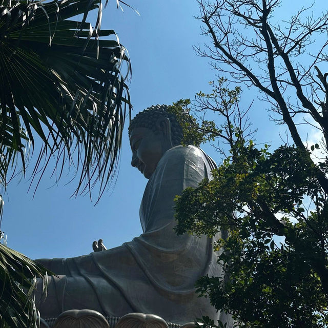 An Adventurous Journey to Tian Tan Buddha