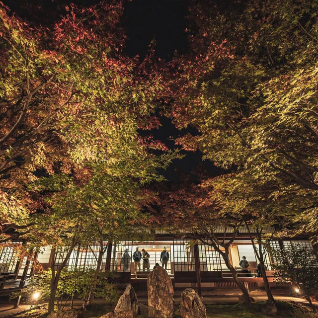 大本山·建仁寺：京都禪意的深處